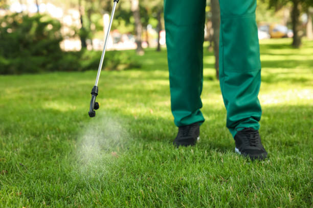 Best Wasp Removal Services  in Fincastle, TN