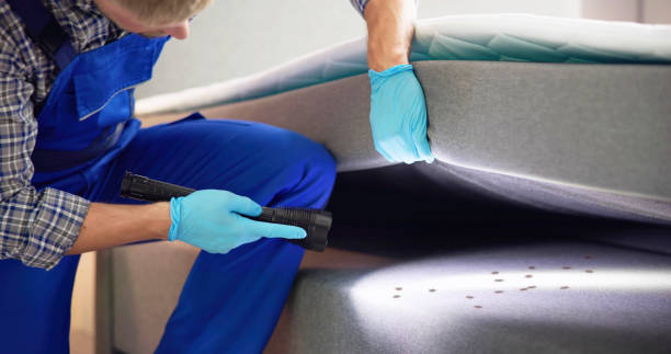 Best Bed Bug Extermination  in Fincastle, TN